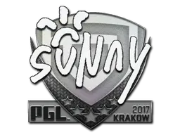 Skin's image