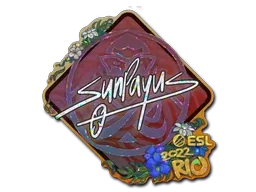 Skin's image