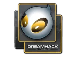 Skin's image