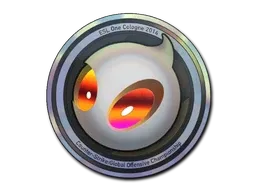 Skin's image