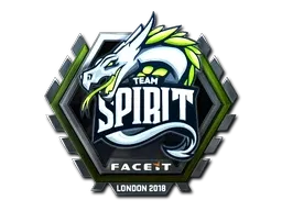 Skin's image