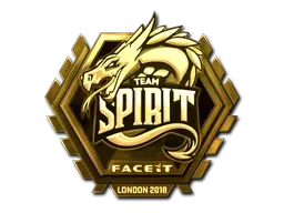 Skin's image