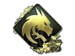 Skin's image