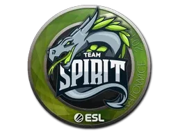 Skin's image