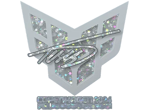 Skin's image