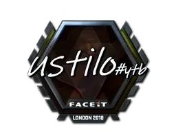 Skin's image