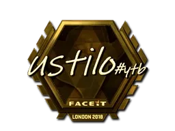 Skin's image