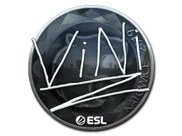 Skin's image