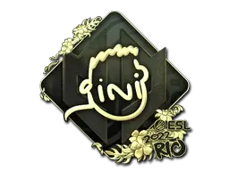 Skin's image