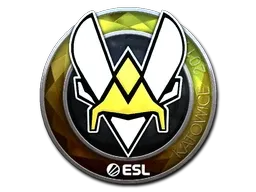 Skin's image