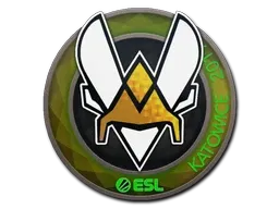 Skin's image