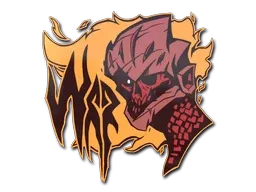 Skin's image