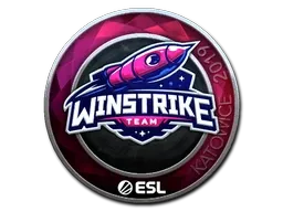 Skin's image