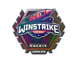 Skin's image