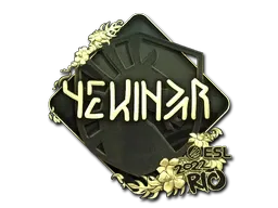 Skin's image
