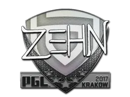 Skin's image