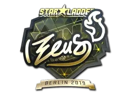 Skin's image