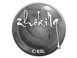 Skin's image