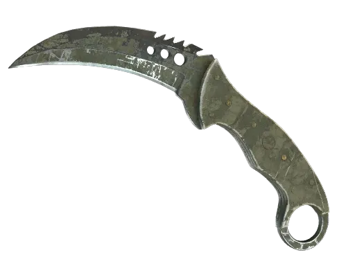 Skin's image