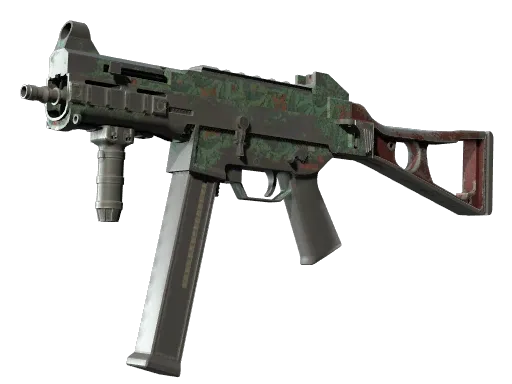 Skin's image