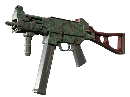 Skin's image
