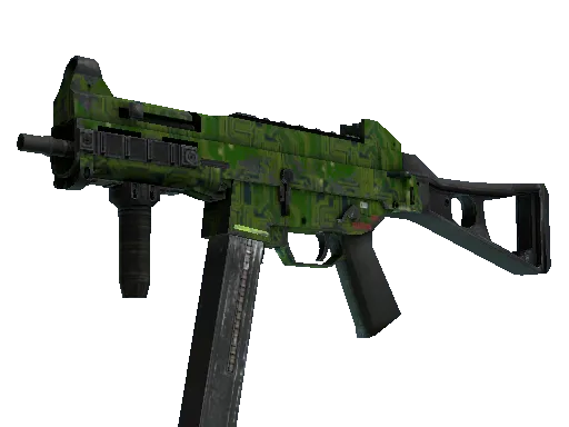 Skin's image