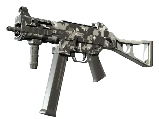 Skin's image