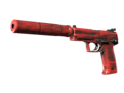 Skin's image