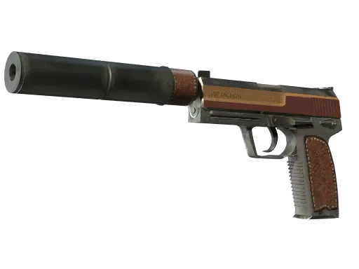 Skin's image