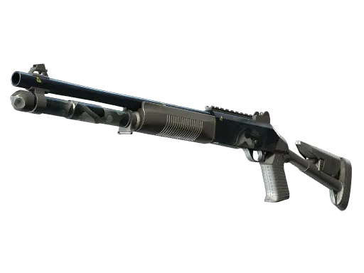 Skin's image