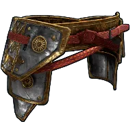 Skin's image