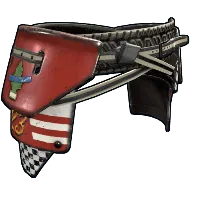 Skin's image
