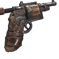 Skin's image