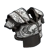 Skin's image
