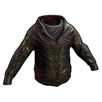 Skin's image