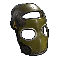 Skin's image