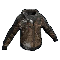 Skin's image