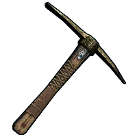 Skin's image