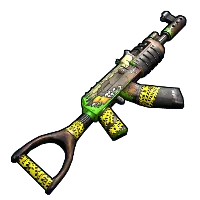 Skin's image
