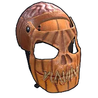 Skin's image
