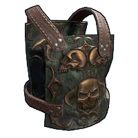 Skin's image