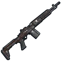 Skin's image