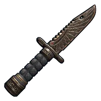 Skin's image