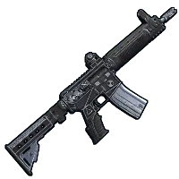 Skin's image