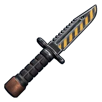 Skin's image