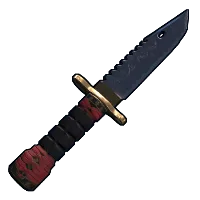Skin's image