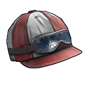 Skin's image