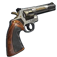 Skin's image