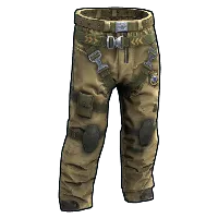 Skin's image