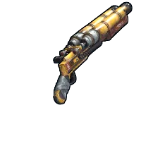 Skin's image